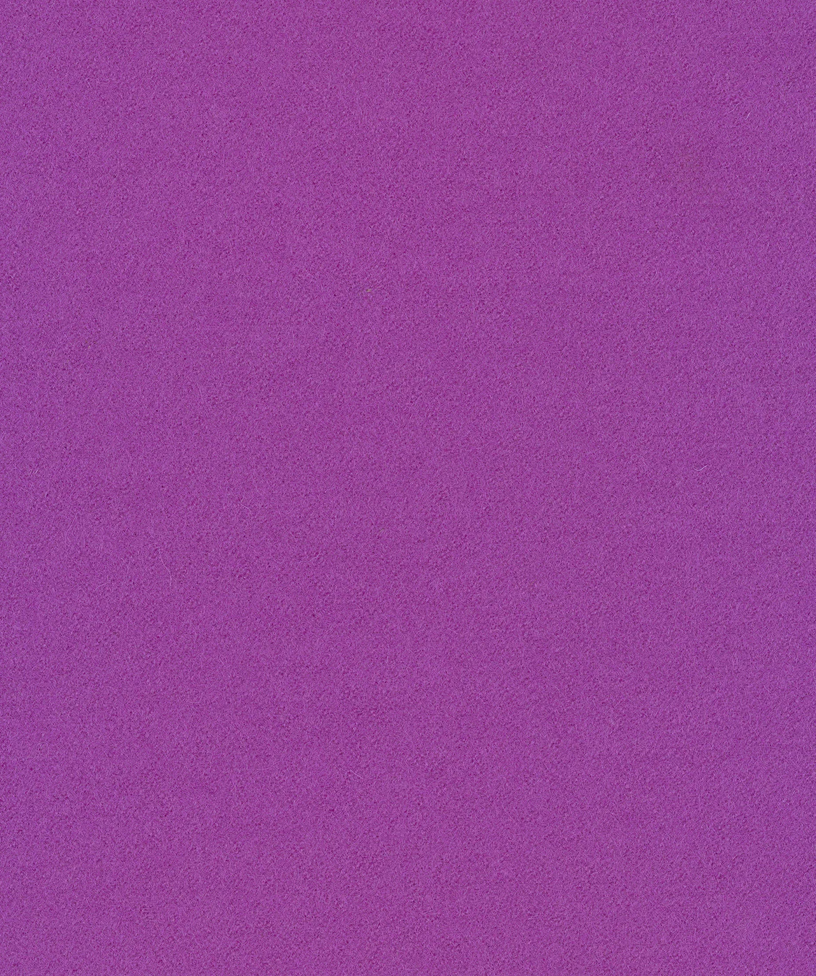 Thumbnail 29